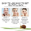 Snail Mucin 92% Moisturizer, Moisturizing And Smoothing Facial Wrinkles Firming And Elastic Skin Care Cream - Korvel