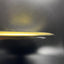 Golden Horizon Vanguard - Kyle Klein 2023 Champion Disc