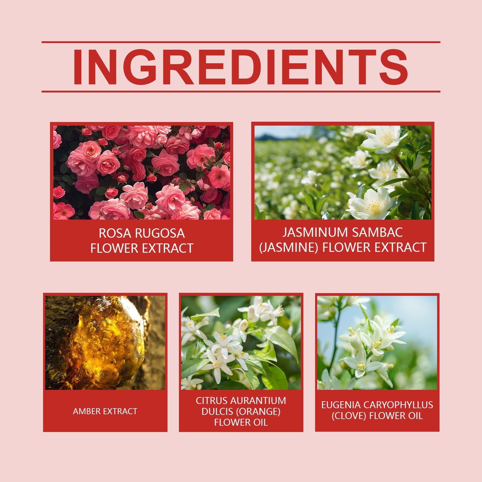 Charm Perfume Spray Natural Fresh Lasting Charm Temperament Amber Fragrance Light Elegant Body Perfume - Korvel