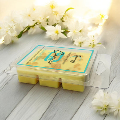Cancer Zodiac Crystal-Infused Coconut-Soy Wax Melts