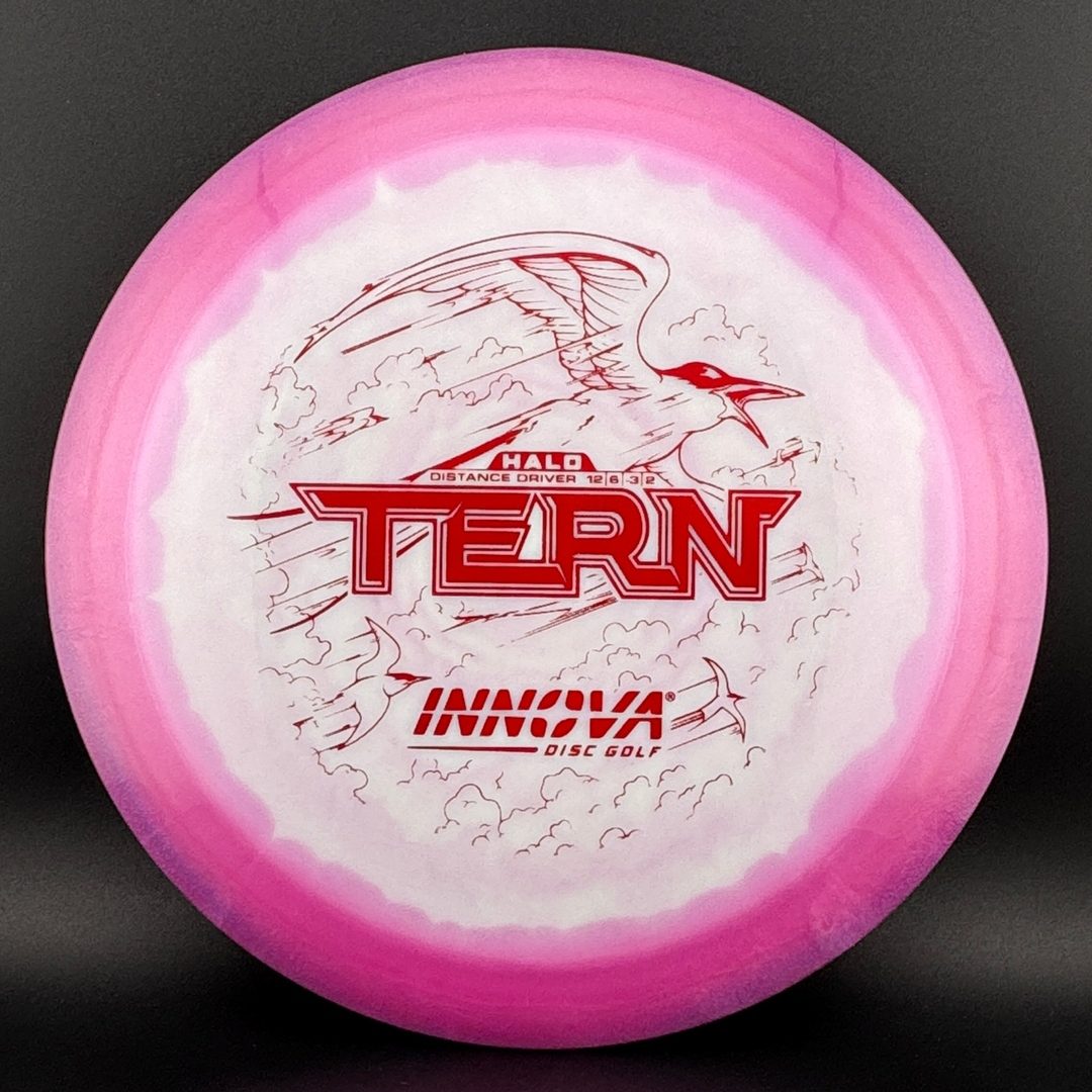Innova Halo Star Tern Disc Golf Driver