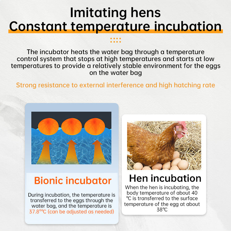 24 - hr Thermostatic Small Poultry Incubator. Biomimetic Waterbed. Auto & Smart. For Chick, Duck & Goose Eggs - Korvel