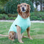 Pull pour animaux de compagnie haut de gamme pour grandes races - Collection hiver