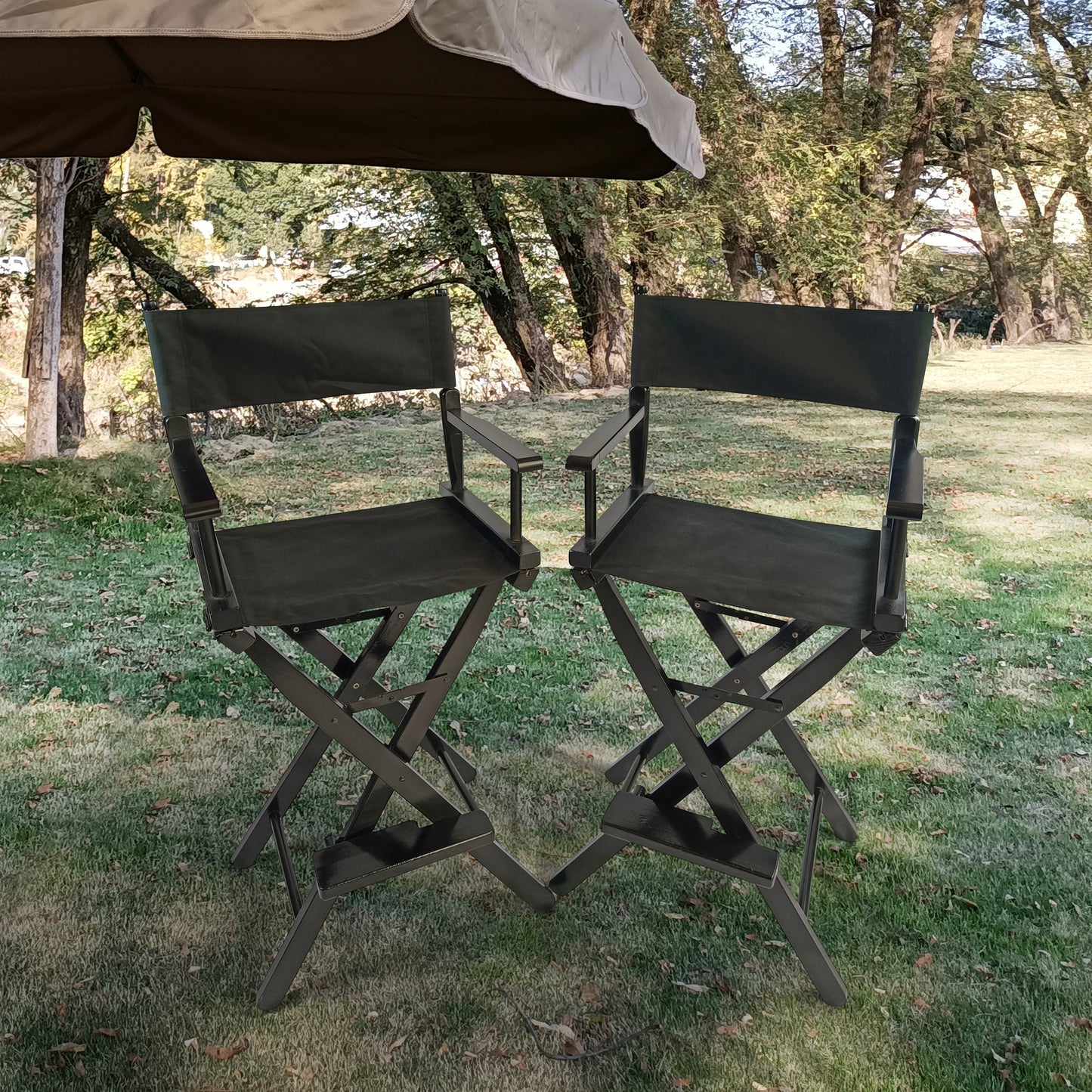 Casual Home Director's Chair, Black Frame/Black Canvas,Suitable for adults, foldable style, 2pcs/set populus - Korvel