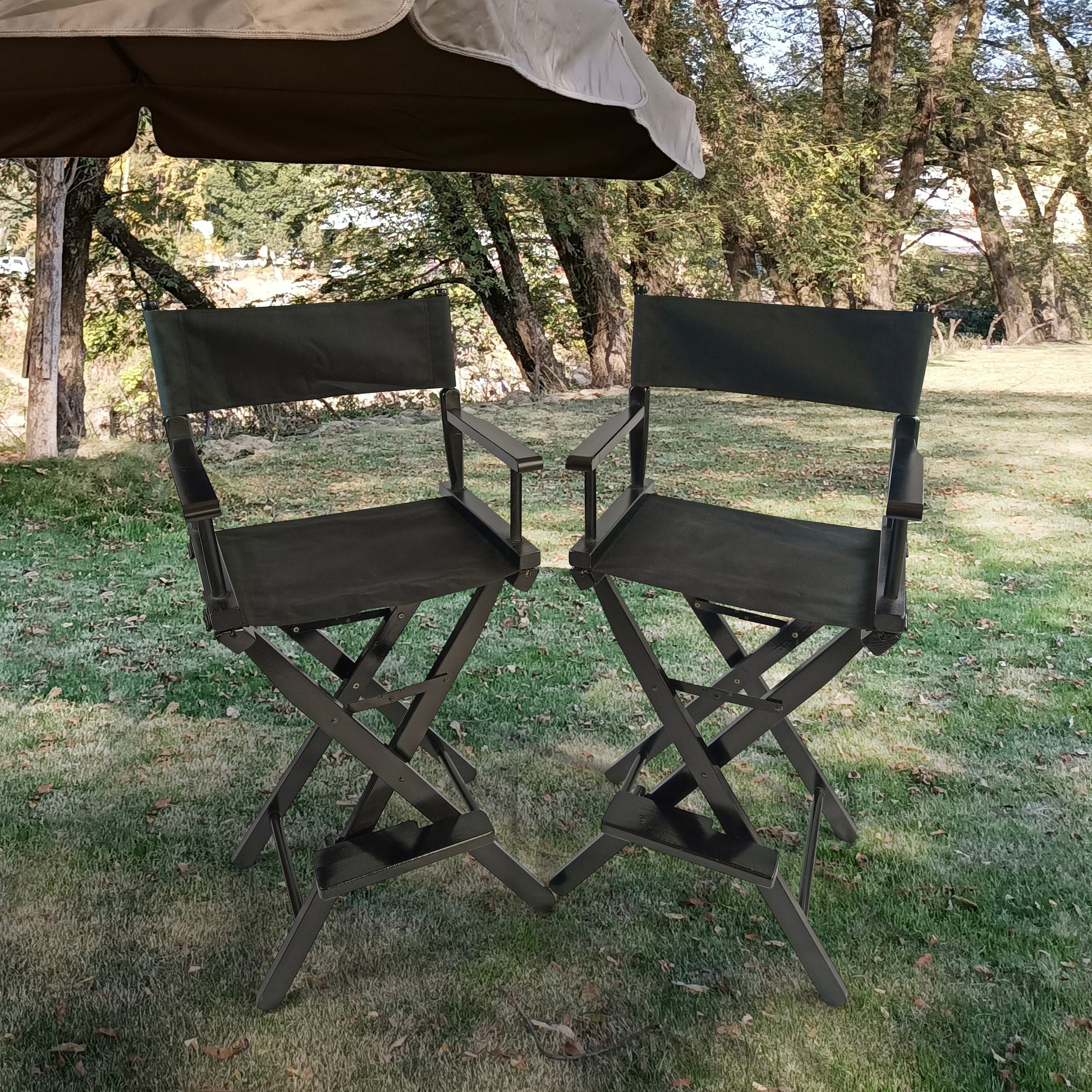 Casual Home Director's Chair, Black Frame/Black Canvas,Suitable for adults, foldable style, 2pcs/set populus - Korvel