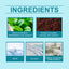 Mint Sea Salt Perfume Mild Fresh Elegant Tone Ear And Wrist Lasting Fragrance Elegant Date Fragrance Perfume - Korvel
