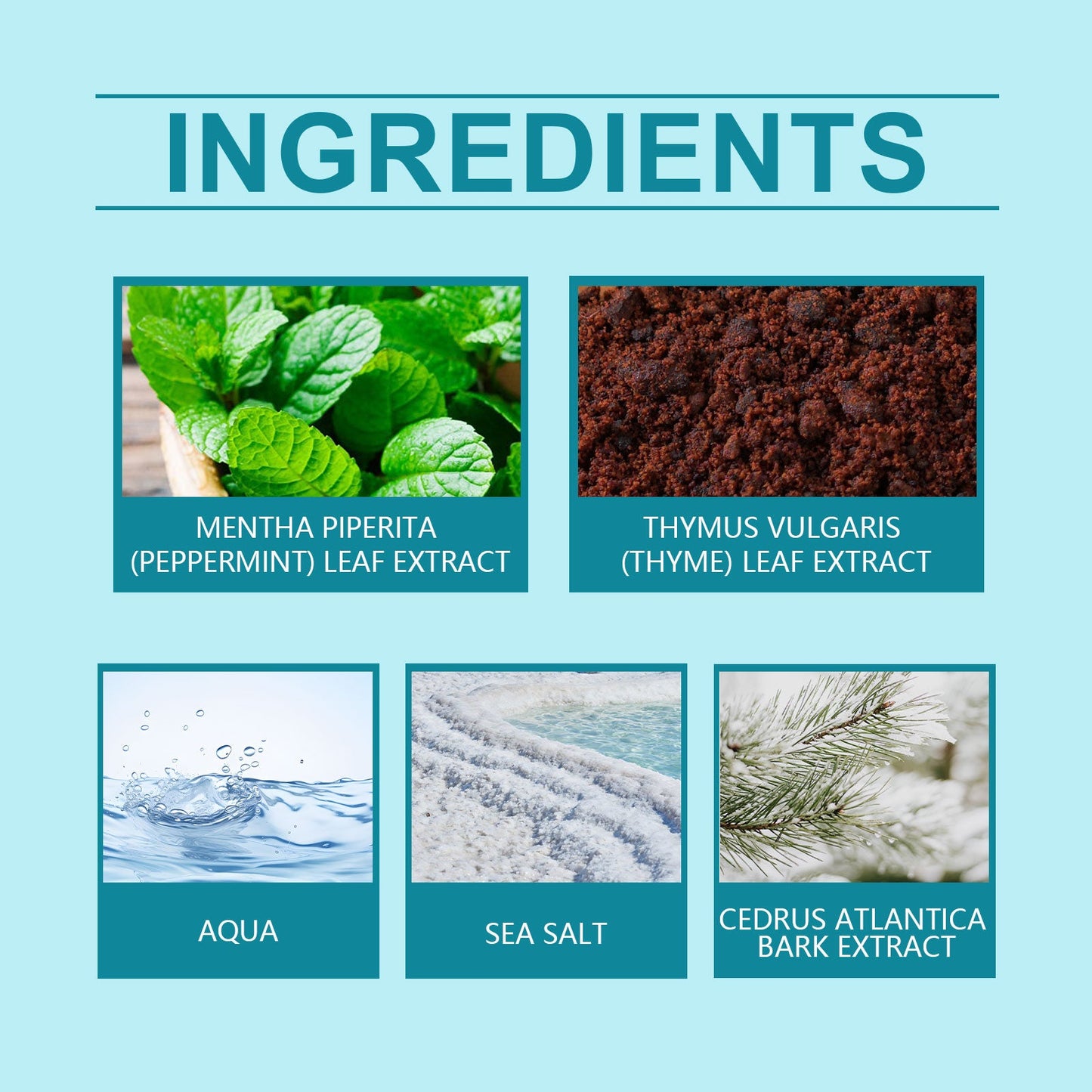 Mint Sea Salt Perfume Mild Fresh Elegant Tone Ear And Wrist Lasting Fragrance Elegant Date Fragrance Perfume - Korvel