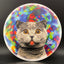 Géant de Tournoi - DyeMax - Disque Space Kitty Trippin