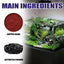Premium Algae Removal Agent for Aquariums