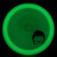 Moonshine Lucid Criminal - Rare DyeMax Logo *Gibson Stash*