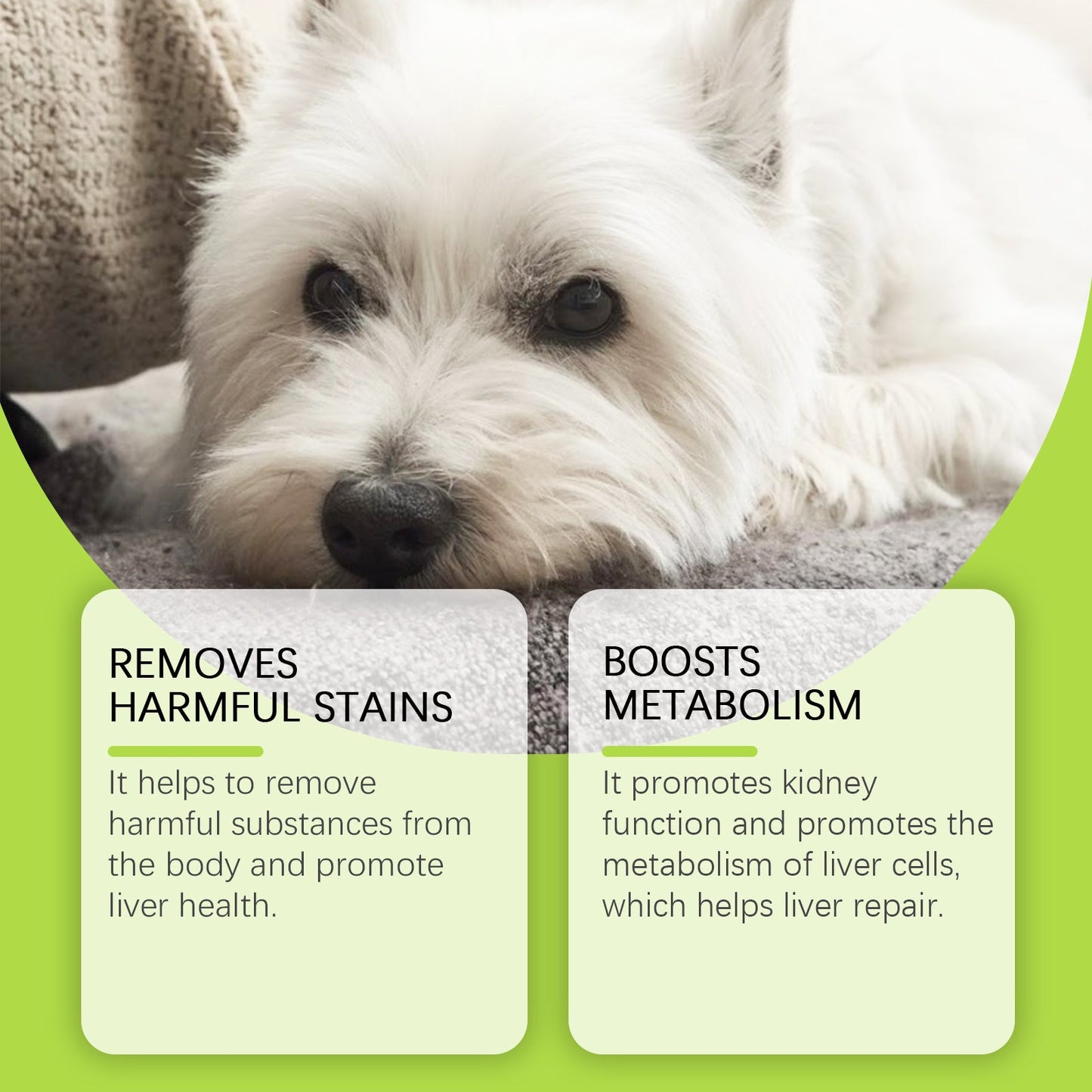 Dog Care Drops, A Comprehensive Healthy Dietary Supplement To Enhance Nutrition And Rejuvenate Dogs - Korvel