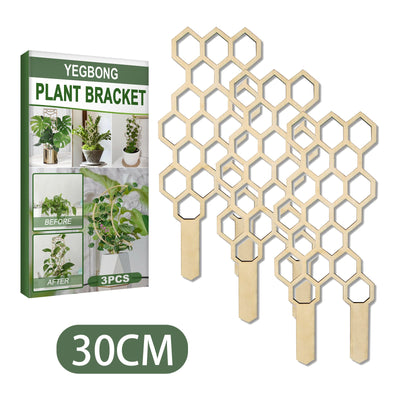 Premium Wooden Garden Trellis for Climbing Plants