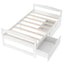 Elegant Twin Size Platform Bed with Two Drawers - White