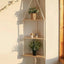TriNest Wall Shelf - Korvel