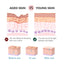 Collagen Anti-Wrinkle Cream, Moisturizes Tightens Tender Skin And Anti-aging Face Cream - Korvel