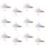 CDC Baetis Emerger BWO Wet Fly Fishing Flies - 1 Dozen
