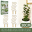 Premium Wooden Garden Trellis for Climbing Plants
