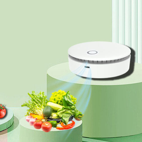 Refrigerator wardrobe shoe cabinet toilet portable pet cat bed powerful ozone disinfection machine - Korvel