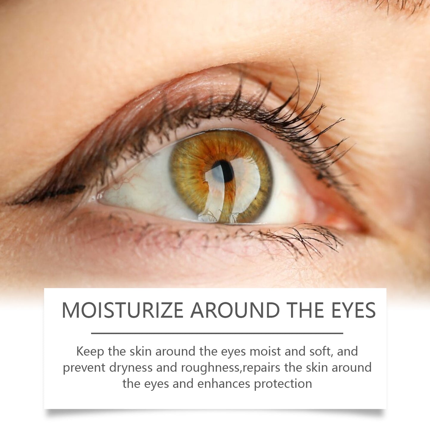 Bee Venom Eye Cream, gently hydrates and moisturizes the skin around the eyes to improve elasticity - Korvel