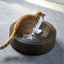 Planche à gratter créative en accordéon pour chat