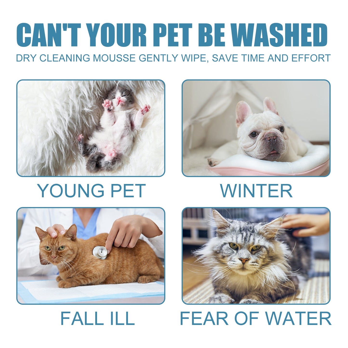 Pet Dry Cleaning Mousse Body Wash For Young Cats And Dogs Wash Free To Remove Odor And Smooth Hair Cleaning - Korvel