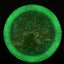 Starfield Oblivion Disc Golf Driver