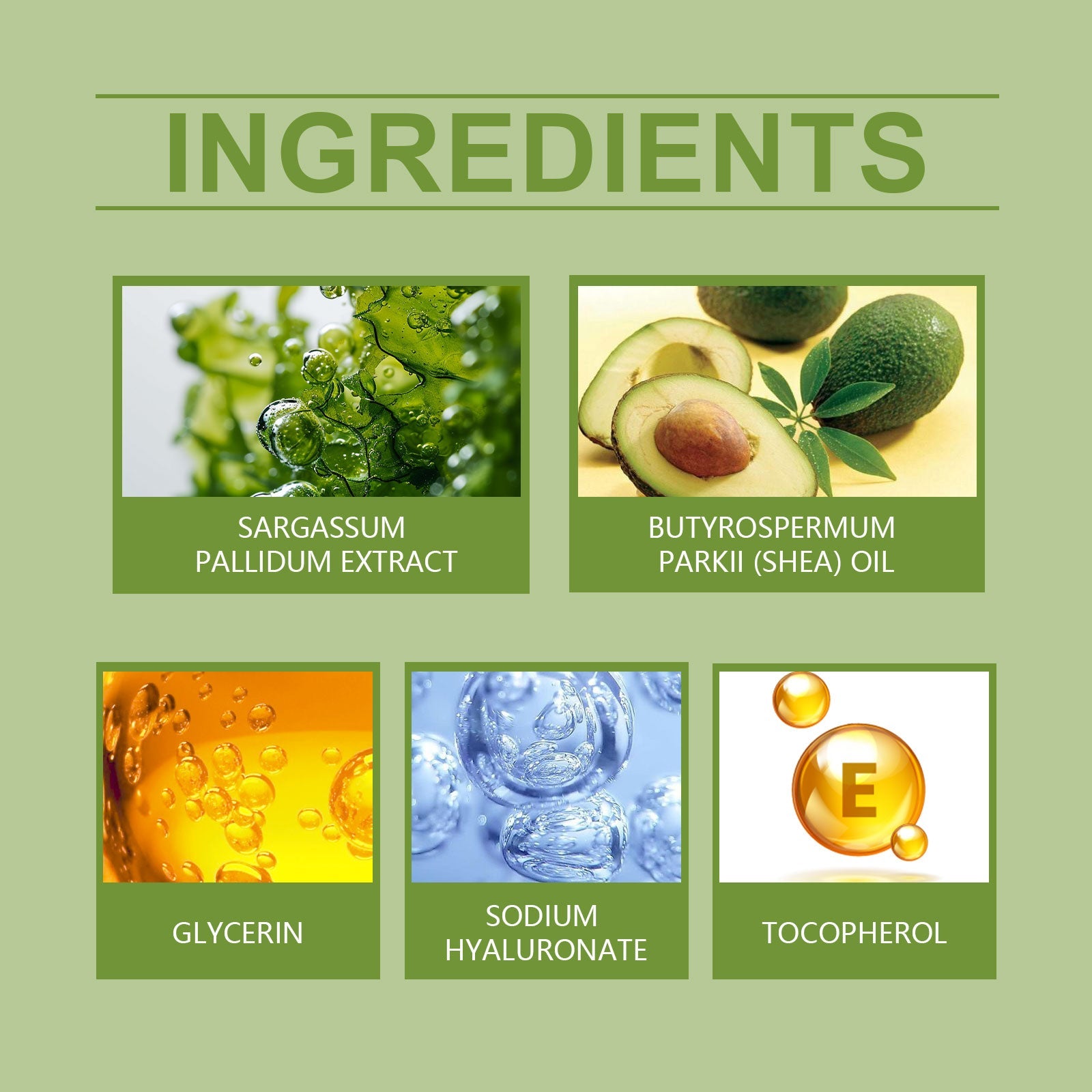 Seaweed Nourishing Night Cream, Nourishing And Moisturizing Facial Night Care Skin Moisturizing And Moisturizing Seaweed Night Cream - Korvel
