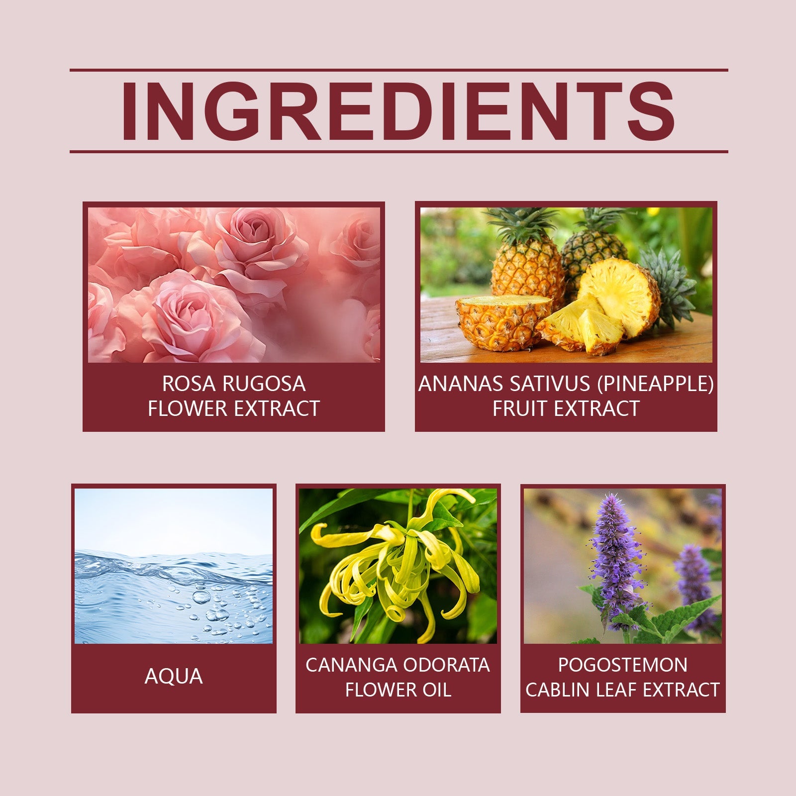 Rose Essential Oil Fragrance Water Pheromone Dating Partner Fragrance Lasting Lasting Couple Atmosphere Charm Perfume - Korvel