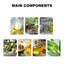 Yellow Hair Essential Oil Care Capsule Repair Scalp Dust, Moisturize And Protect Hair Soft And Shiny - Korvel