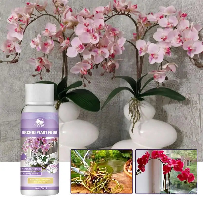 Engrais liquide pour orchidées 50 ml pour des fleurs éclatantes