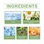 Facial Essence, Gentle Moisturizing, Delicate And Firm Skin, Lightening Fine Lines And Brightening Skin Essence - Korvel