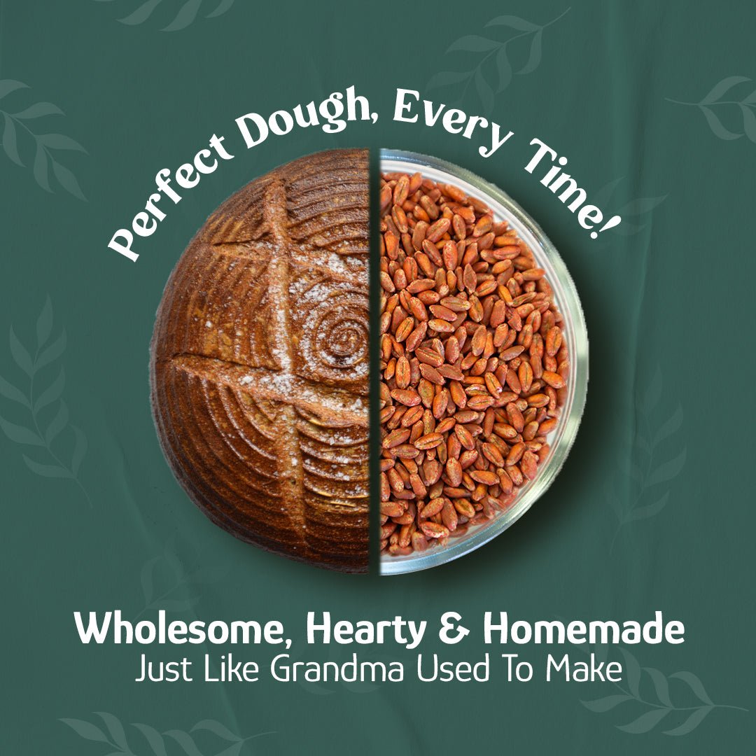Bronze Chief Wheat Berries - Nutritious Red Grain for Baking - Korvel