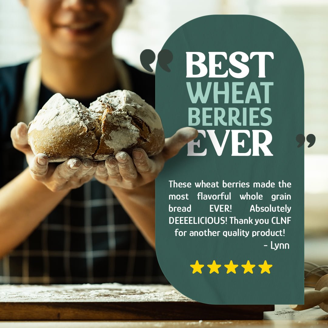 Bronze Chief Wheat Berries - Nutritious Red Grain for Baking - Korvel