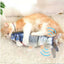 Jouet interactif pour chats avec chargeur USB - Poisson