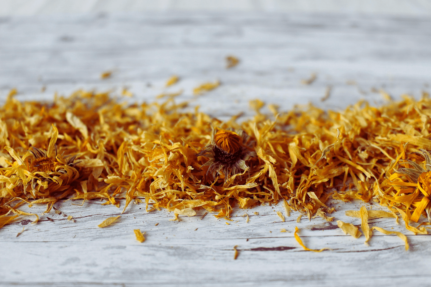 Fleur de calendula premium pour une utilisation culinaire et artisanale