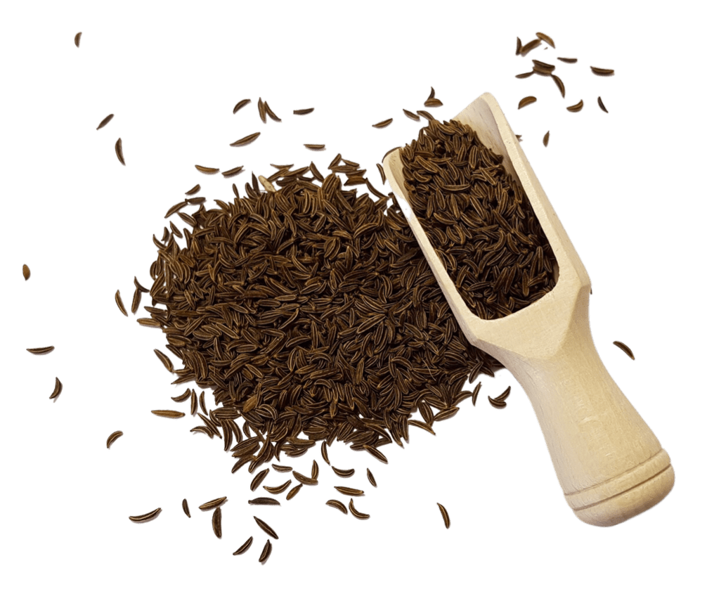 Whole Caraway Seeds - Flavorful Spice for Culinary and Wellness - Korvel