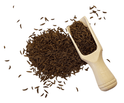 Whole Caraway Seeds - Flavorful Spice for Culinary and Wellness - Korvel