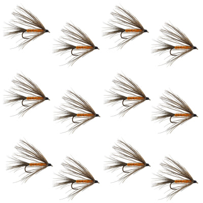 Carey Special Soft Hackle Grouse and Orange Wet Fly - 12 Flies Hook Size 10 - Korvel