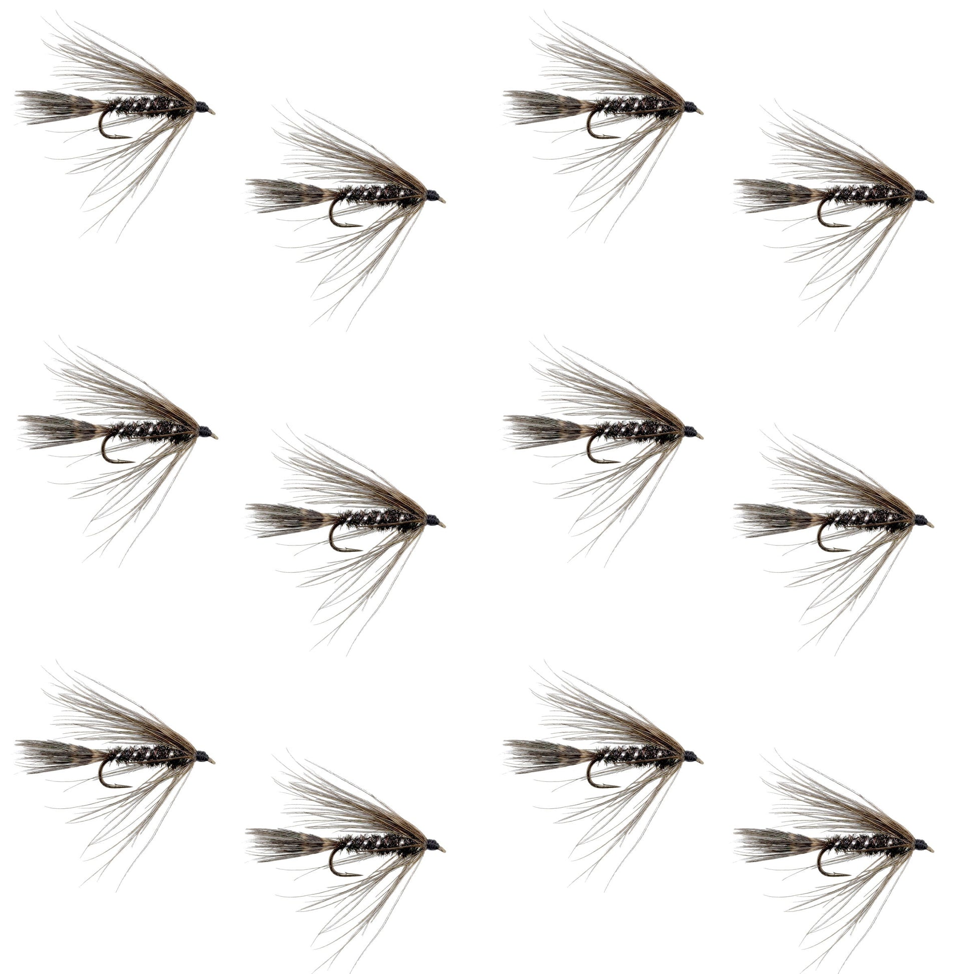 Carey Special Soft Hackle Grouse and Peacock Wet Fly - 12 Flies Hook Size 10 - Korvel