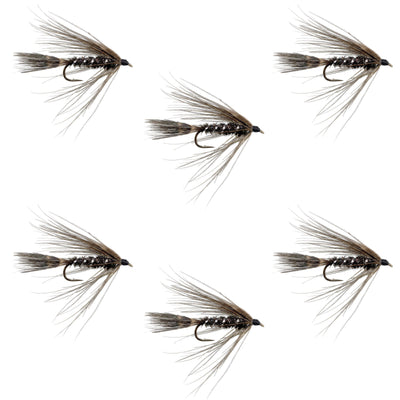 Carey Special Soft Hackle Fly Set - 6 Size 10 Wet Flies for Trout - Korvel