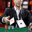 14 Gram Poker Chip Set - 300 Pieces for Casino-Quality Play