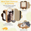 Árbol para Gatos Moderno con Estructura de Metal y Postes para Rascar