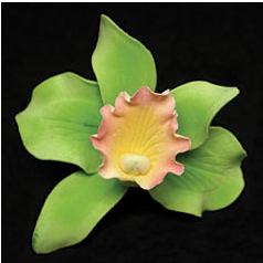 Cattleya Single - Small Green 50 Pieces