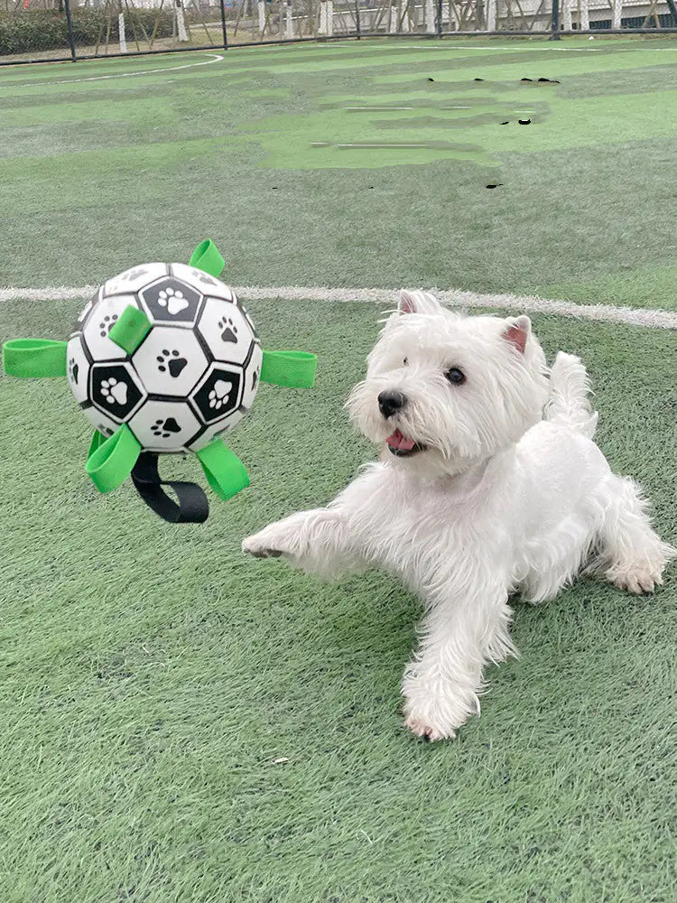 Jouets de football pour chiens durables pour un jeu actif