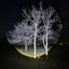 Muctac CHARGE Flashlight - 5000+ Lumens, Zoomable, USB Rechargeable