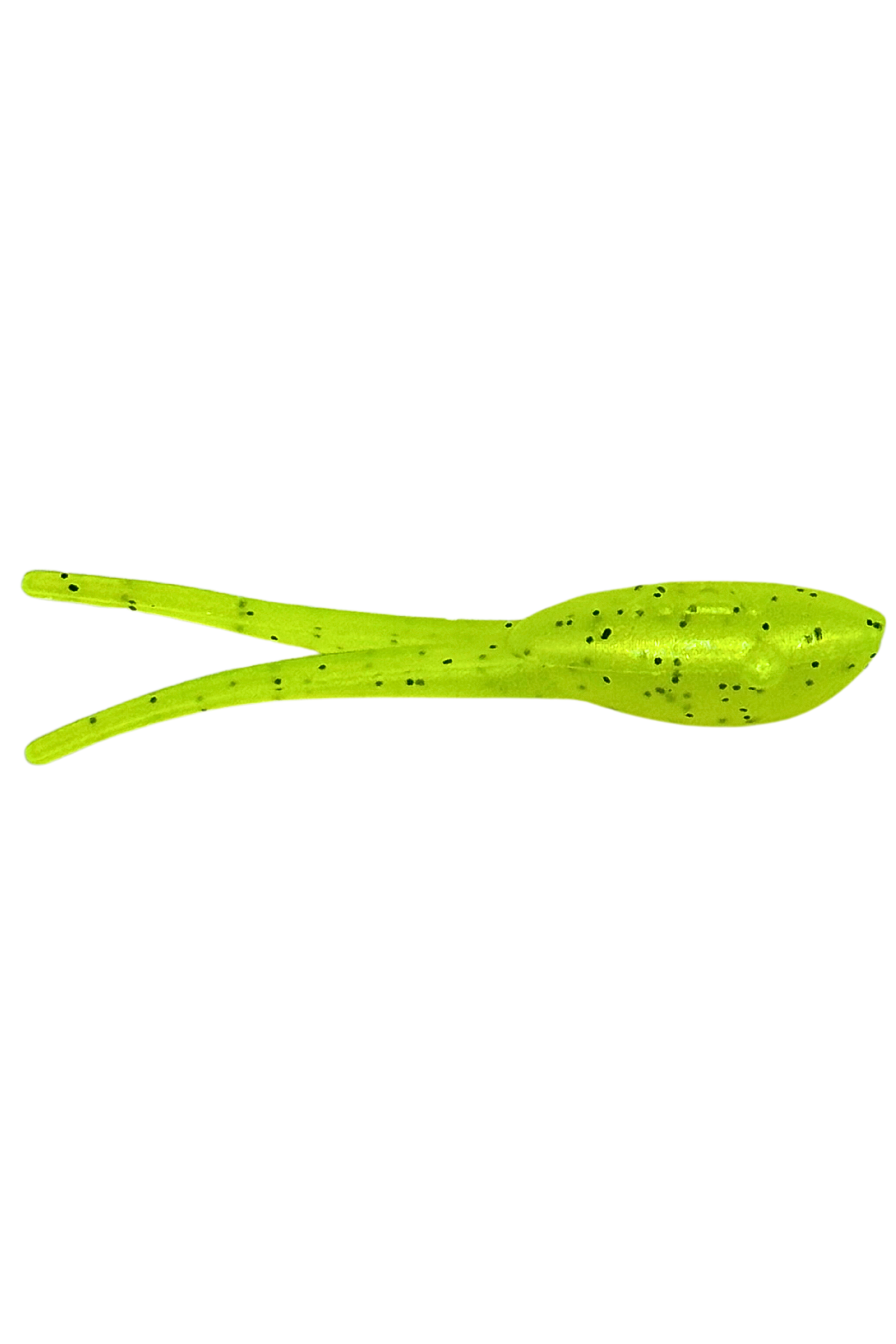 Wicked Shad - Korvel