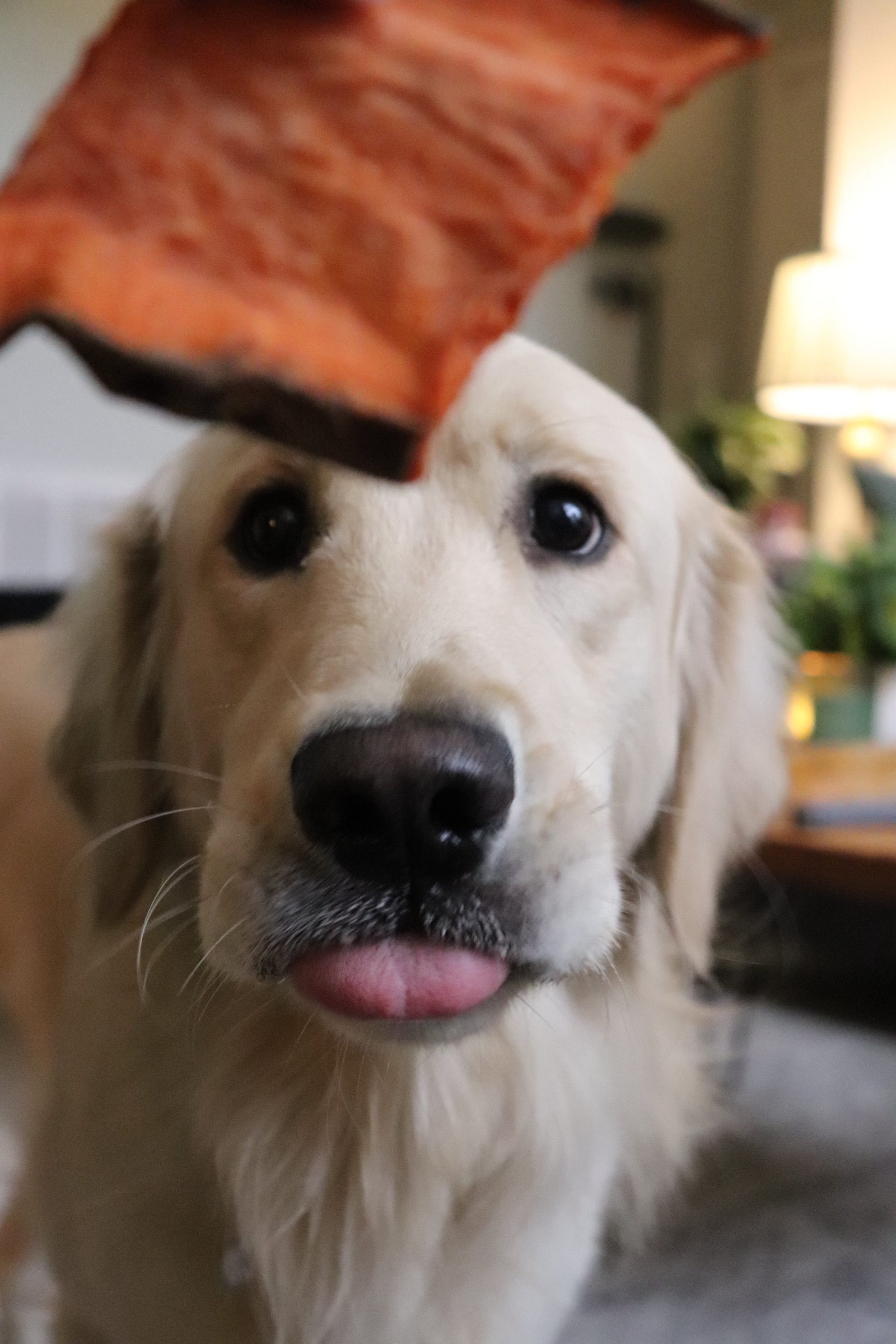 All-Natural Sweet Potato Dog Chews - Healthy Treats - Korvel