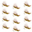 Golden Foam Chubby Chernobyl Ant Flies - 12 Pack Size 10 - Korvel