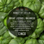 Cinco - Salsa de Tomatillo y Clementina (9oz)