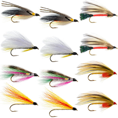 Premium Trout Streamers Fly Fishing Collection - 12 Assorted Wet Flies - Size 4 Hooks - Korvel
